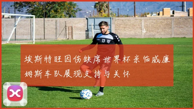埃斯特旺因伤缺席世界杯亲临威廉姆斯车队展现支持与关怀